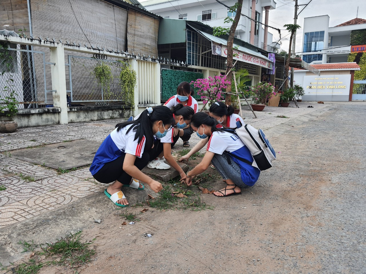 cá cược thể thao hul city